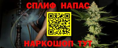 шишки Будённовск